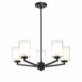 Modern 5-Light Chandelier for Dining Room Ambiance with Adjustable Height and Glass Shades